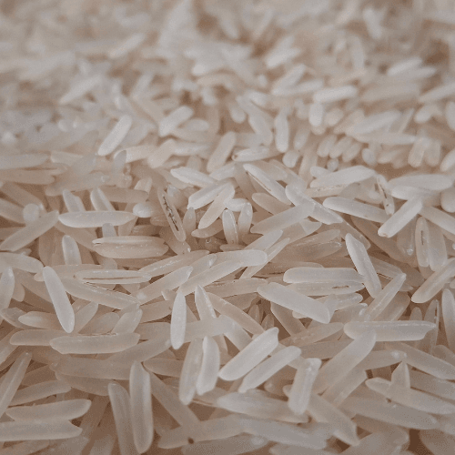 Jasmine Rice