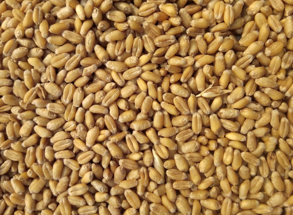 Flour Products