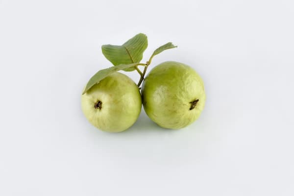 Guava
