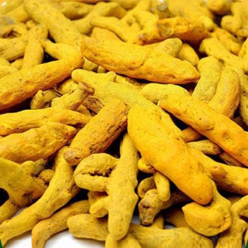 TURMERIC (Curcuma Longa)