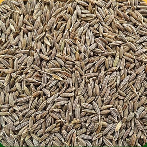 Cumin Seeds