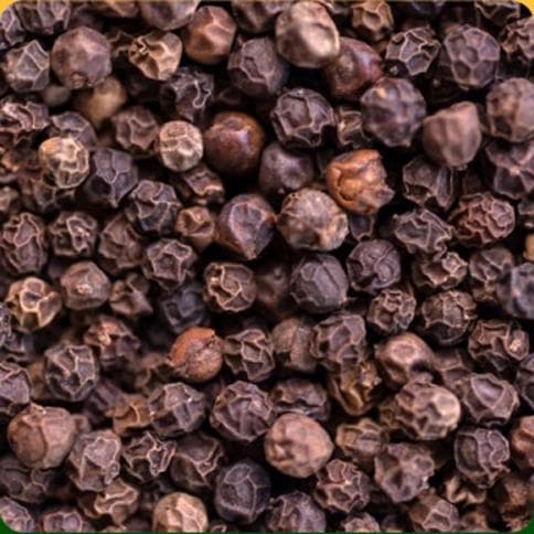 Black Pepper