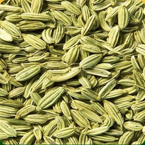 Fennel Seeds