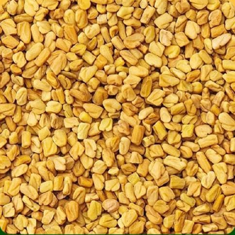 Fenugreek