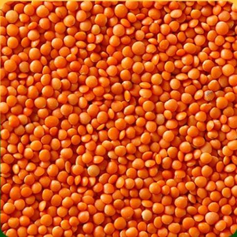 Red Lentil Football