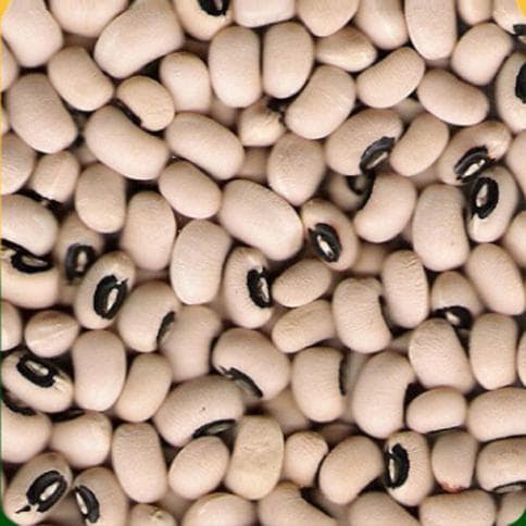Black Eye Bean