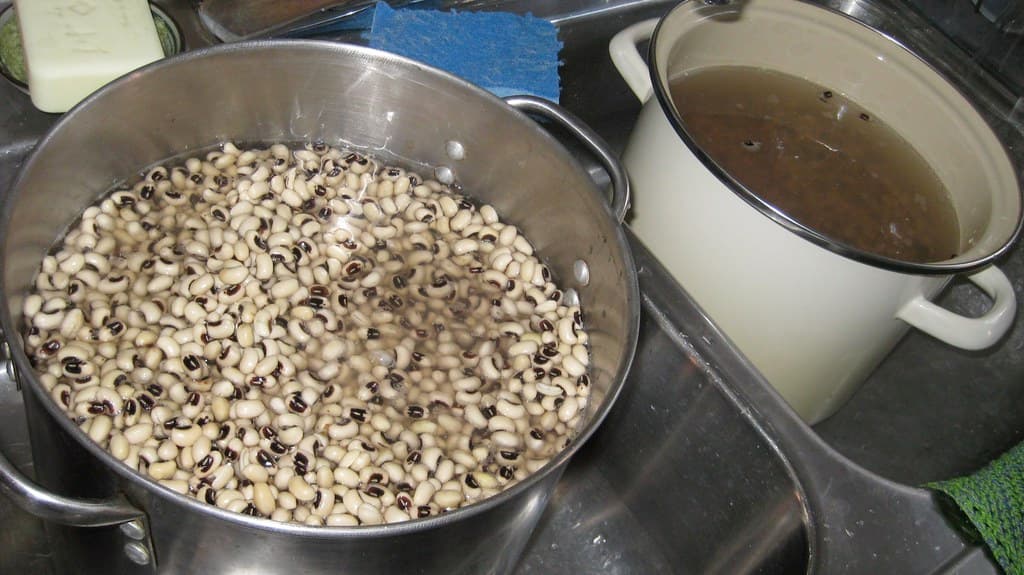 Black Eye Bean