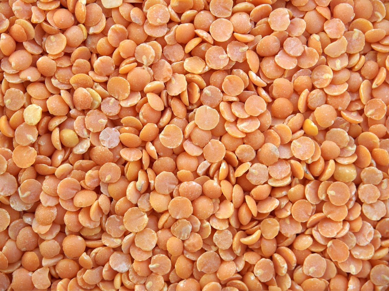 Red Lentil Football