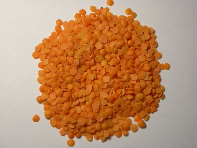 Masoor Dal