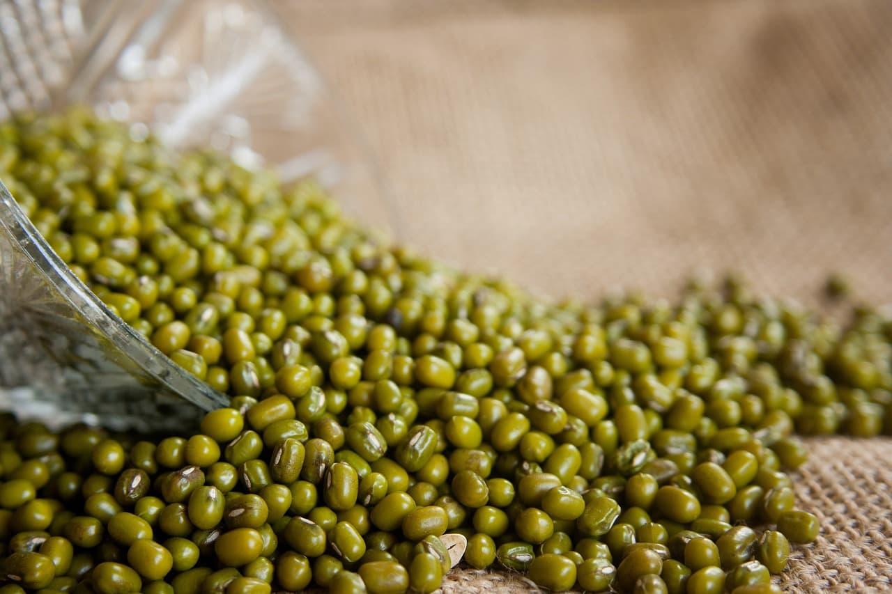 Green Moong Dal